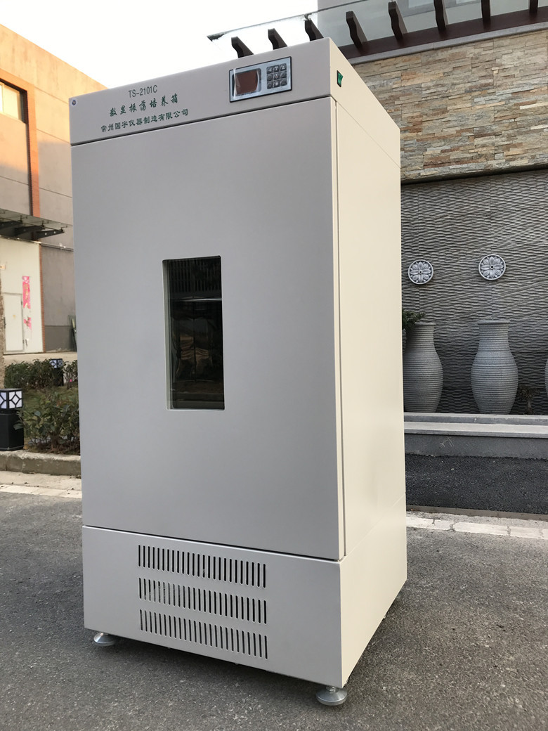 数显振荡培养箱TS-2101C图片