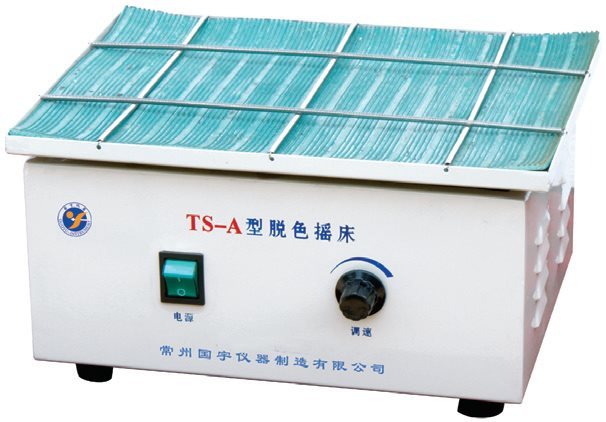 TS-A/TS-B/TY-80S脱色摇床图片
