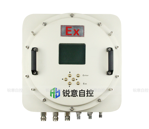 锐意自控红外气体分析仪 Gasboard-3500（防爆型）图片