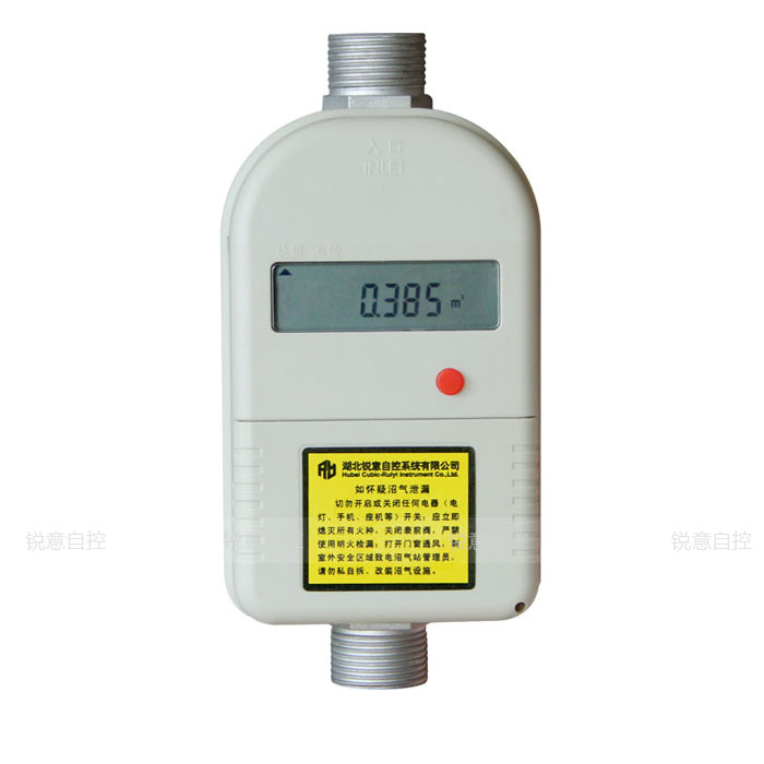 锐意自控超声波沼气流量计 BF-2008图片