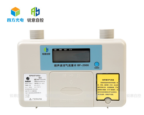 锐意自控超声波沼气流量计 BF-2000图片