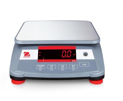 计重秤R2000图片