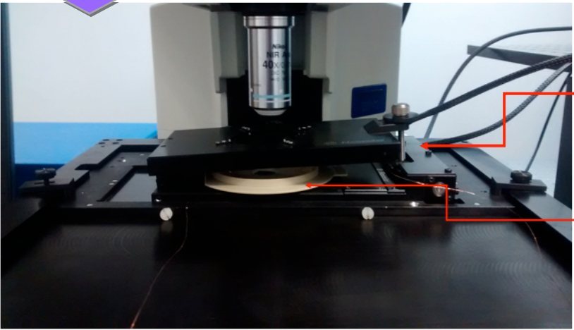 Nanonics 扫描电化学显微镜图片