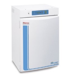 Forma™ 310直热式CO2培养箱图片