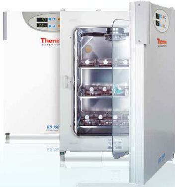 Thermo Scientific BB150 CO2培养箱图片