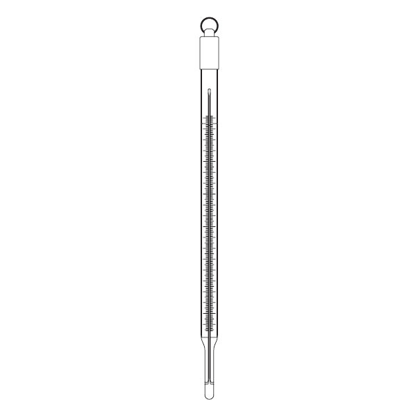 Chemtron 精密冷储存/浸入式/船用温度计 31805S图片