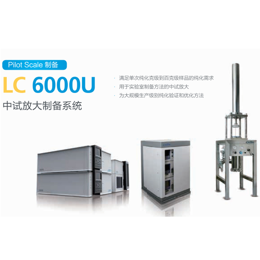 中试放大制备系统LC6000U图片