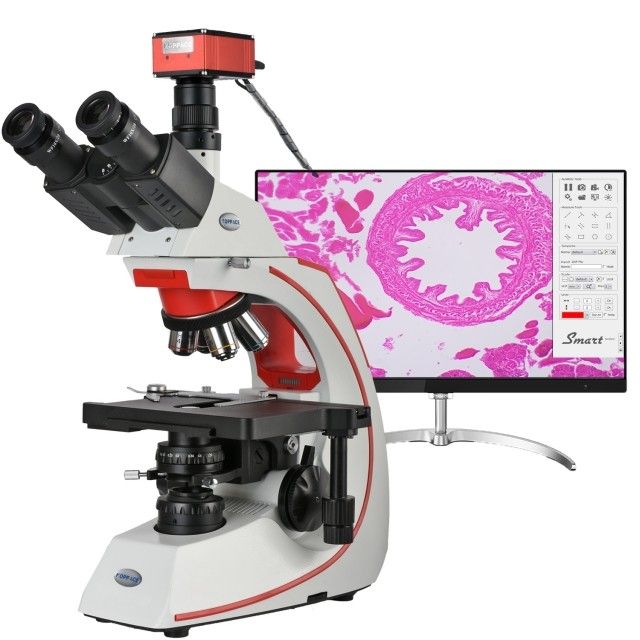 KP-ICCF533-4KCH 40X-1600X,4K,830万像素,,三目复合实验室显微镜图片
