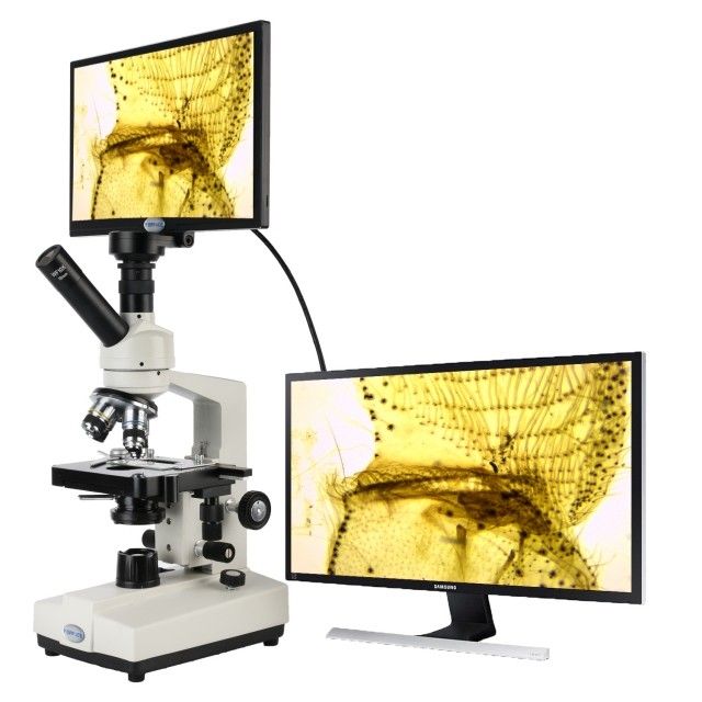 KP-PH35-500 40X-1600X生物显微镜可拍照11.6英寸显示屏可拍照录像电子显微镜图片