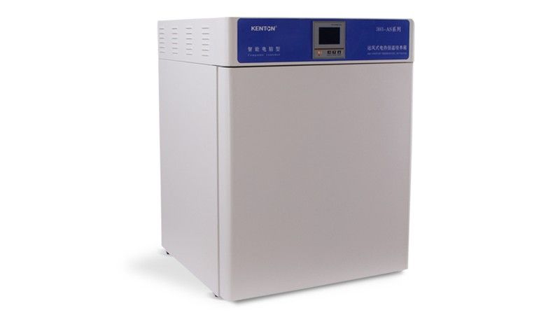 303-2AS运风式恒温培养箱图片