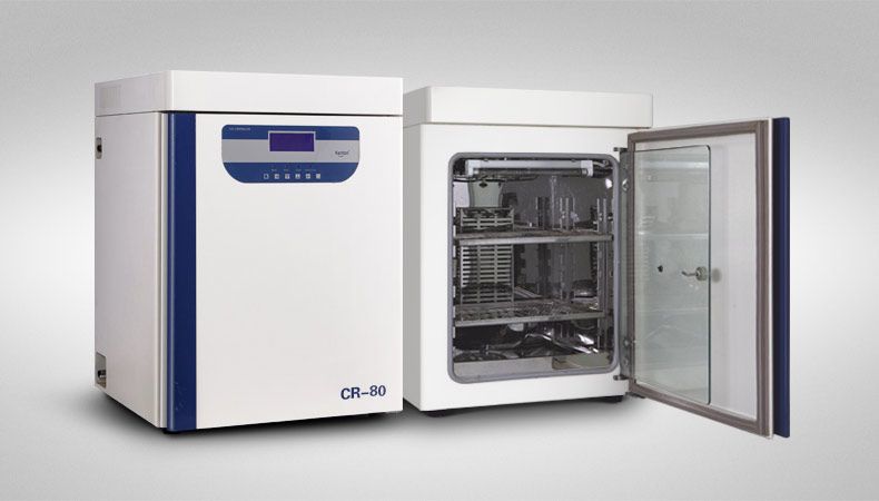CR-80二氧化碳培养箱图片