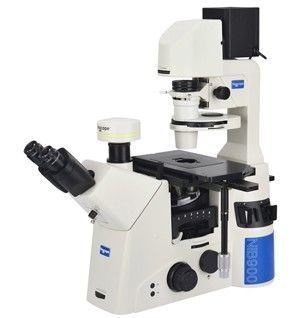 NIB910倒置生物显微镜图片