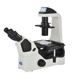 NIB600培养用倒置生物显微镜图片