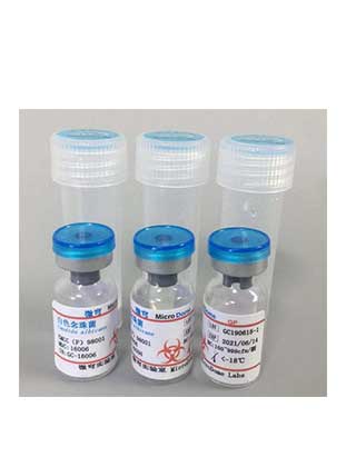 定量菌株GP图片