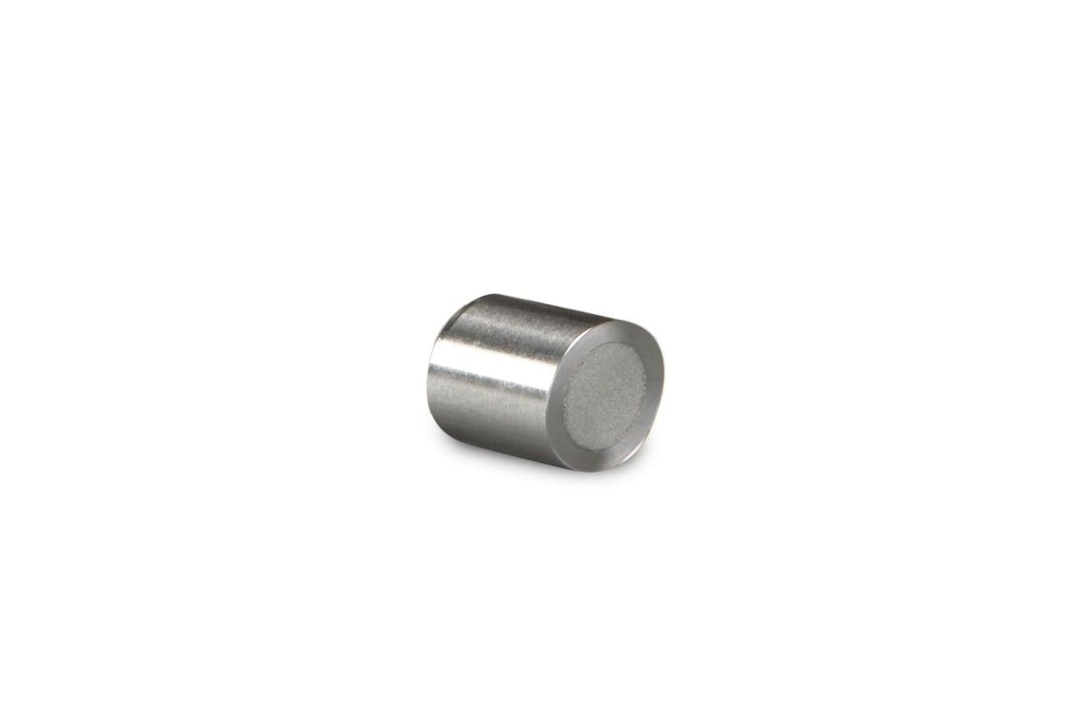 Symmetry Silica C8 Prep Guard Cartridge, 100Å, 5 µm, 7.8 mm X 10 mm, 1/pk图片