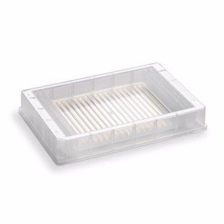 Reservoir, unique 5 cavity, polypropylene, 4 control wells 3.25 mL each, main wells 86.3 mL, 24 pyramid base geometries, 19 mm height, 25/pk图片