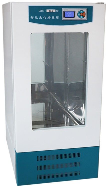 生化培养箱液晶屏LRH-160(F)图片