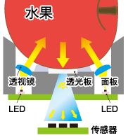 图片 2.png