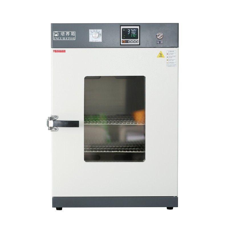 DNP-9902电热恒温培养箱图片