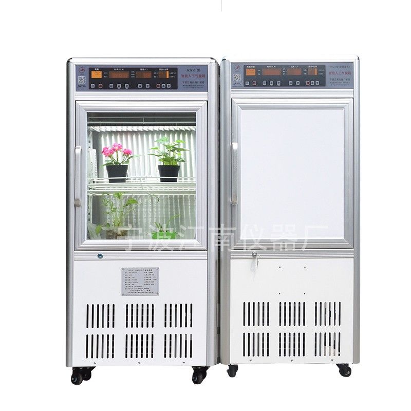 人工气候箱RXZ-160图片