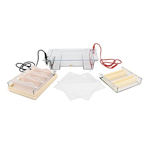 DYCP-31E型琼脂糖水平电泳仪(中号)图片