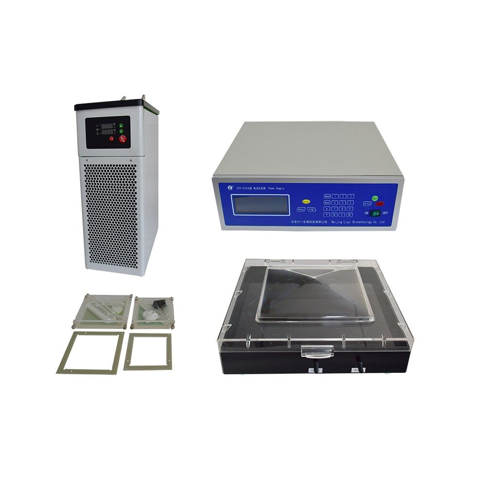 WD-2101A型脉冲电泳系统图片