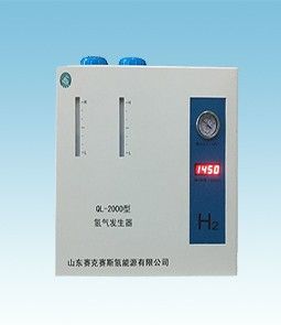 QL-2000氢气发生器(纯水)图片
