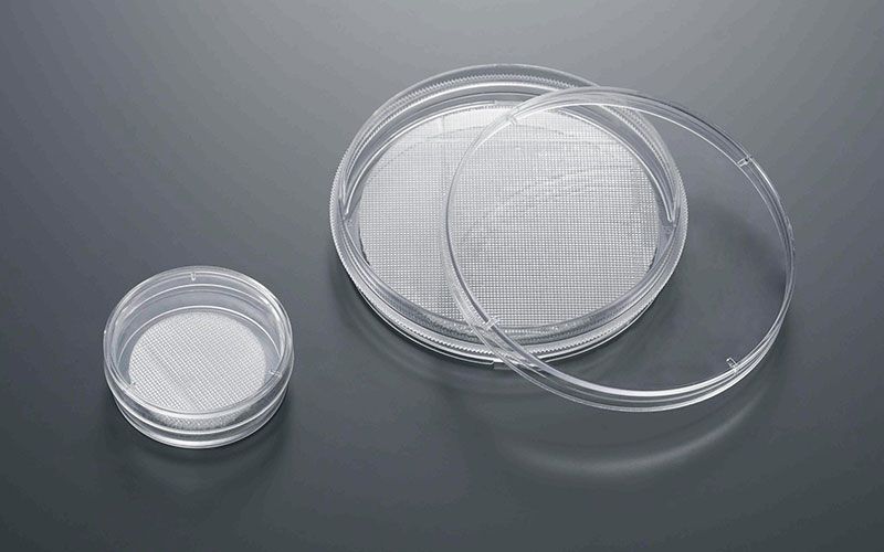 JET CellSCAFLD®3D细胞培养支架图片