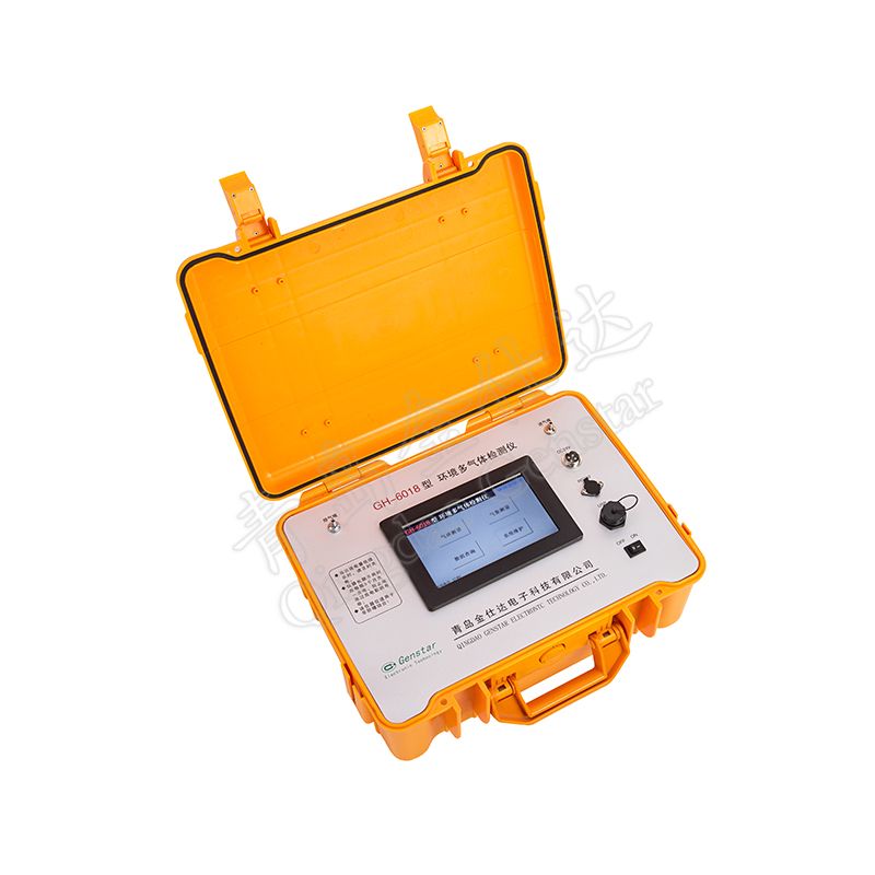 GH-6018型环境多气体检测仪图片