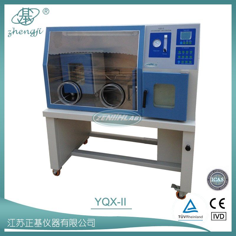 厌氧培养箱YQX-II图片