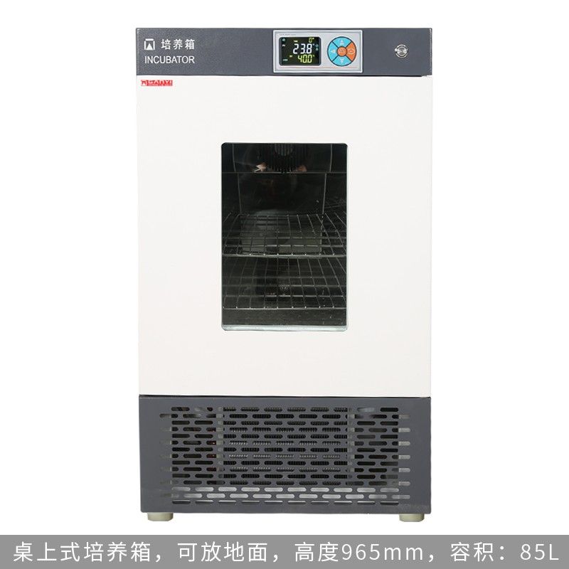 SPX-80生化培养箱图片