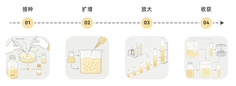 产品细节图片7