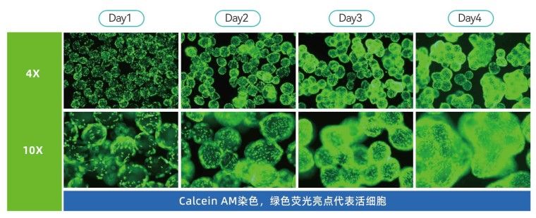 产品细节图片11