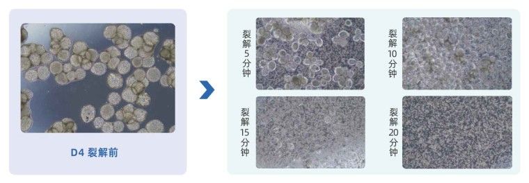 产品细节图片12