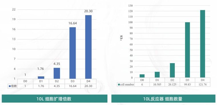 产品细节图片15