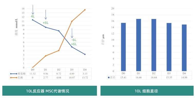 产品细节图片16