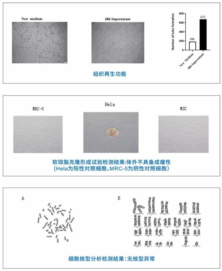 产品细节图片7