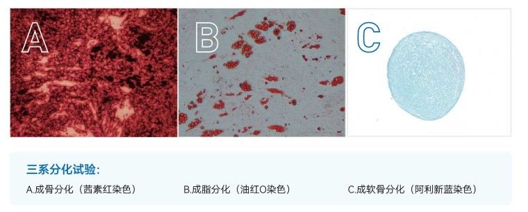 产品细节图片7