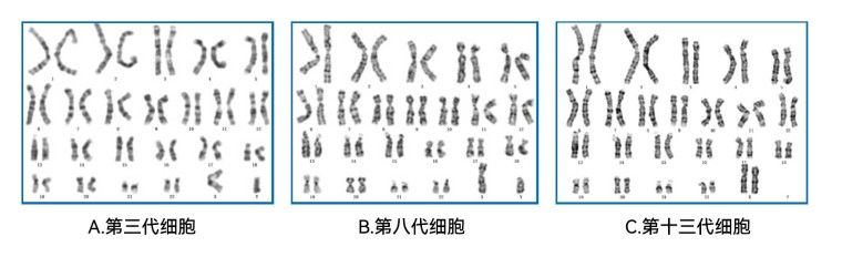 产品细节图片10
