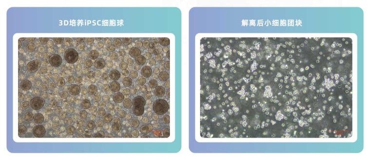 产品细节图片13