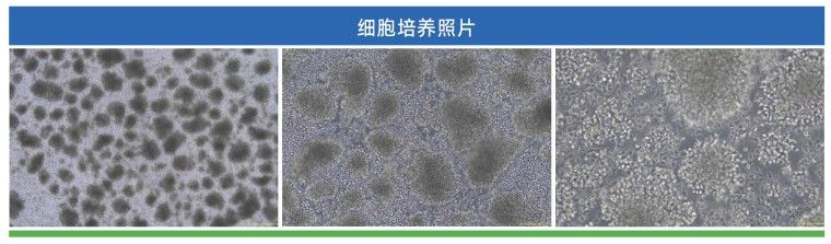 产品细节图片1