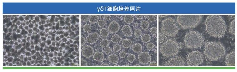 产品细节图片4