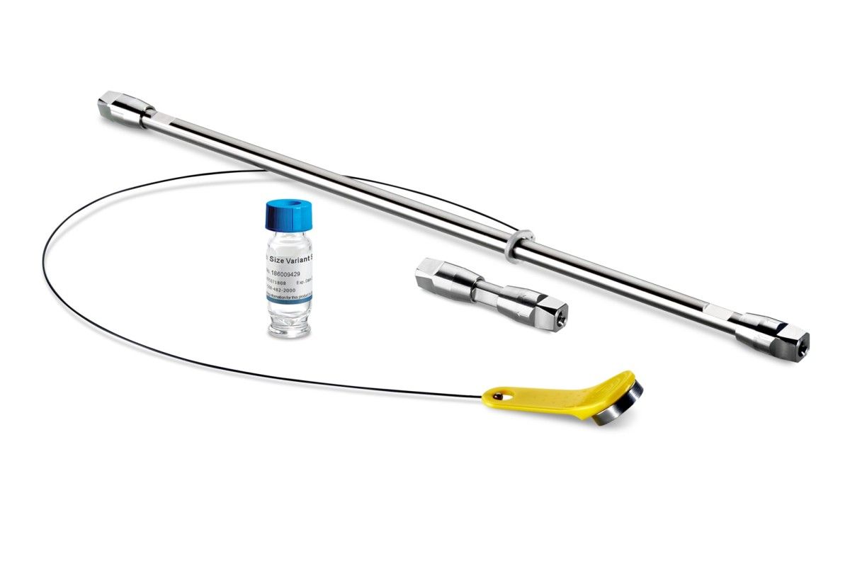 ACQUITY Premier Protein SEC Column with MaxPeak Premier SEC Guard, 250Å, 1.7 µm, 4.6 x 300 mm Column, with mAb Size Variant Standard图片