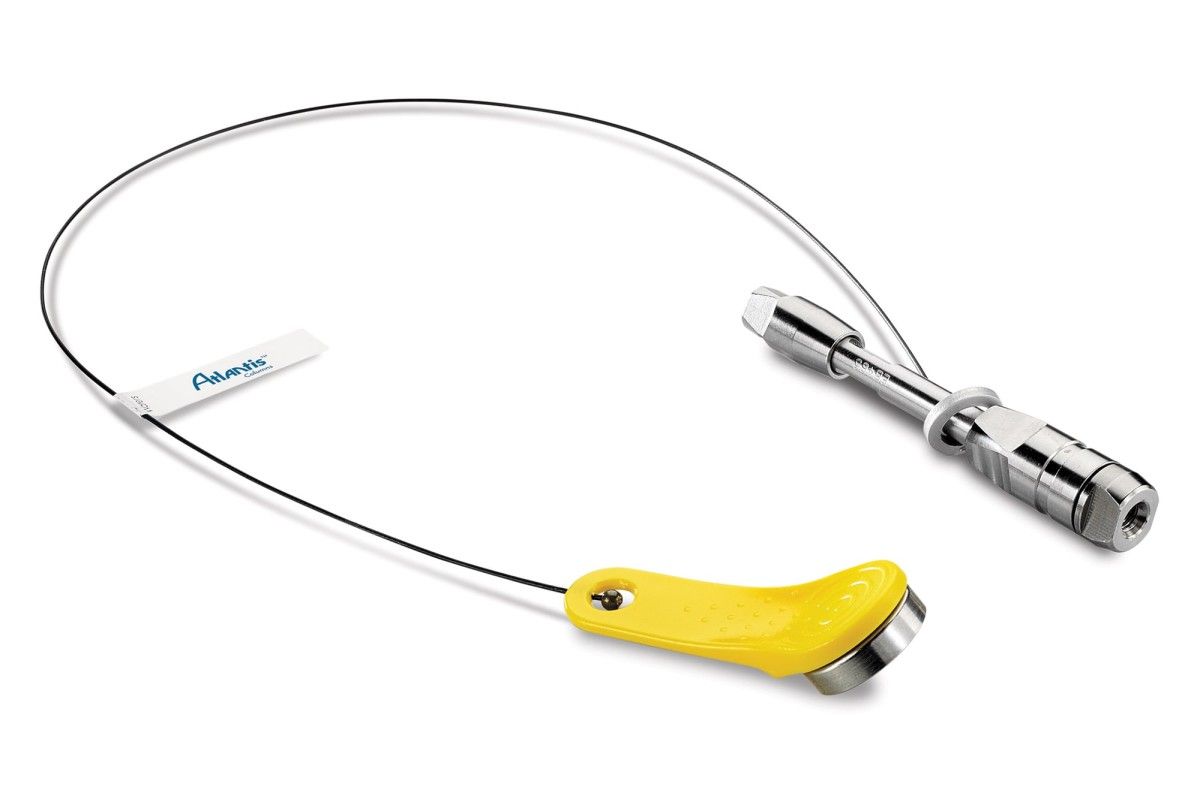 Atlantis Premier BEH C18 AX VanGuard FIT Column, 2.5 µm, 2.1 x 150 mm, 1/pk图片