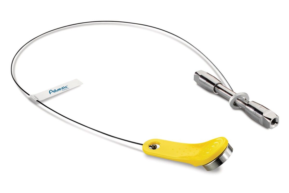 Atlantis Premier BEH C18 AX Column, 2.5 µm, 2.1 x 30 mm, 1/pk图片
