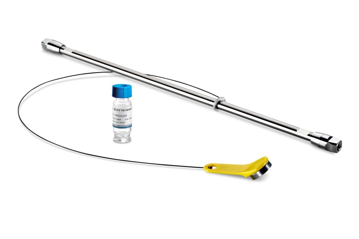ACQUITY Premier Protein SEC Column, 250Å, 1.7 µm, 4.6 x 300 mm, 1/pk with mAb Size Variant Standard图片