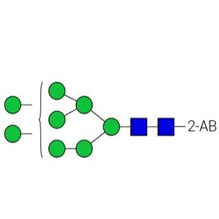 AdvanceBio 2-AB Man8/M8 N-糖标准品图片