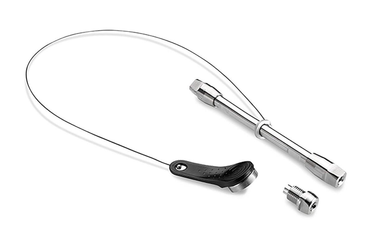 BioResolve SCX mAb Column with VanGuard FIT, 3 µm, 2.1 mm x 50 mm, 1/pk with mAb Charge Variant Standard图片