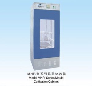 MHP型霉菌培养箱图片