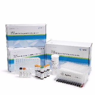 使用InstantPC的AdvanceBio Gly-X N-糖前处理试剂盒,96 ct图片